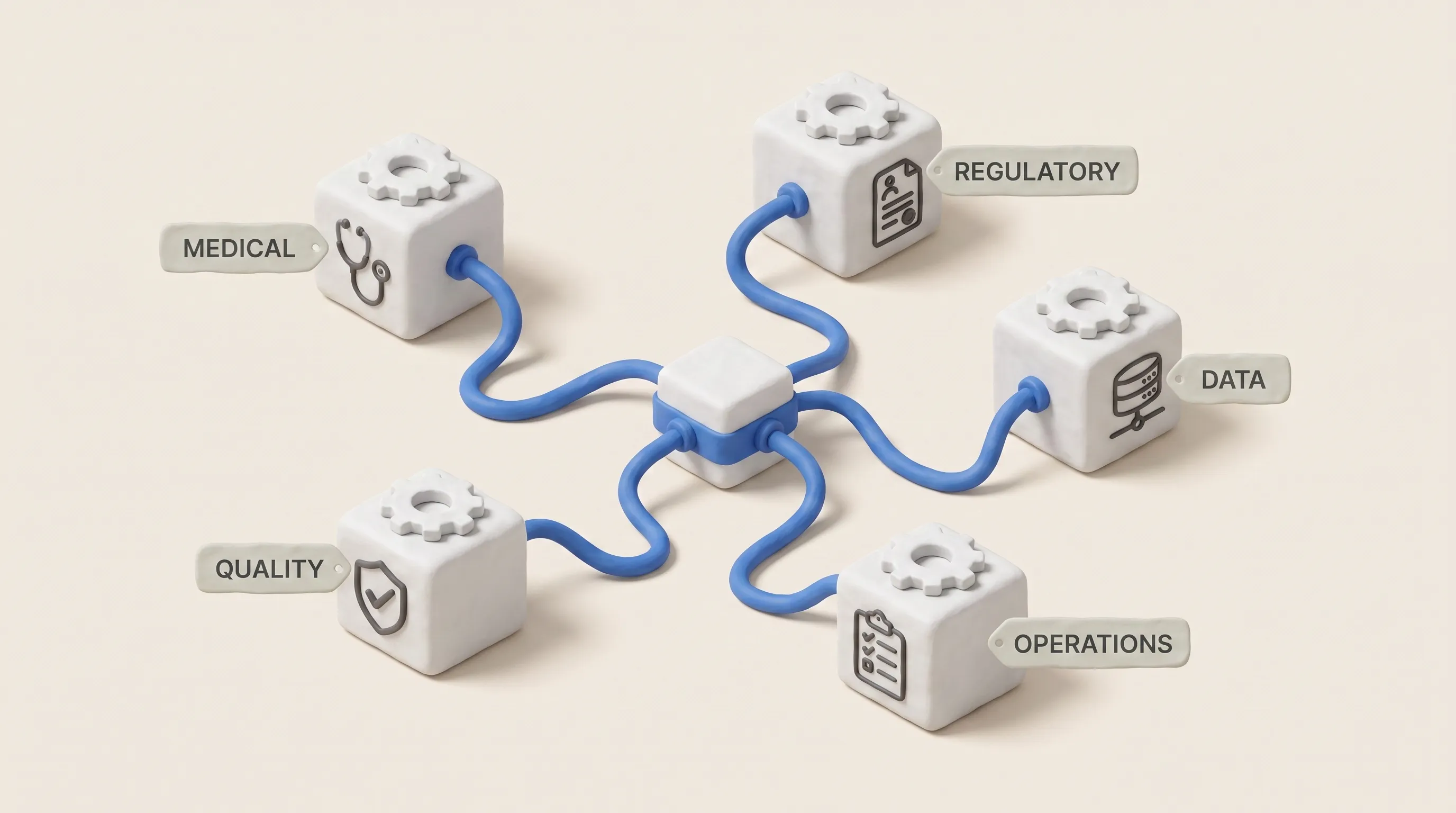 Cross-functional alignment and governance decisions